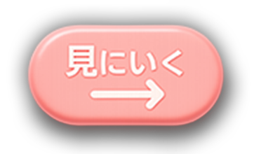見にいく